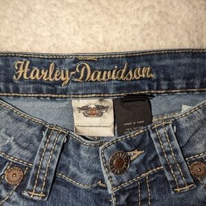 Harley Davidson, 2 Tall